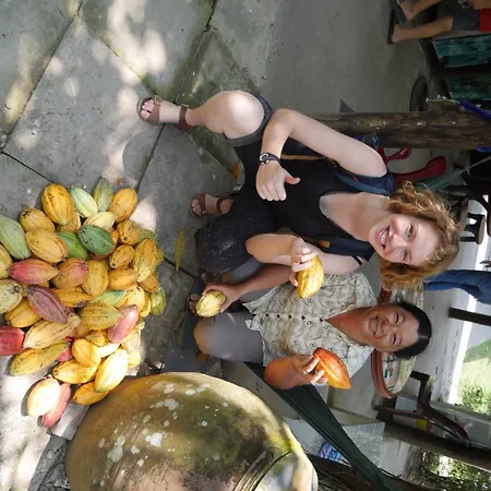 Thanh Ha Guesthouse-2